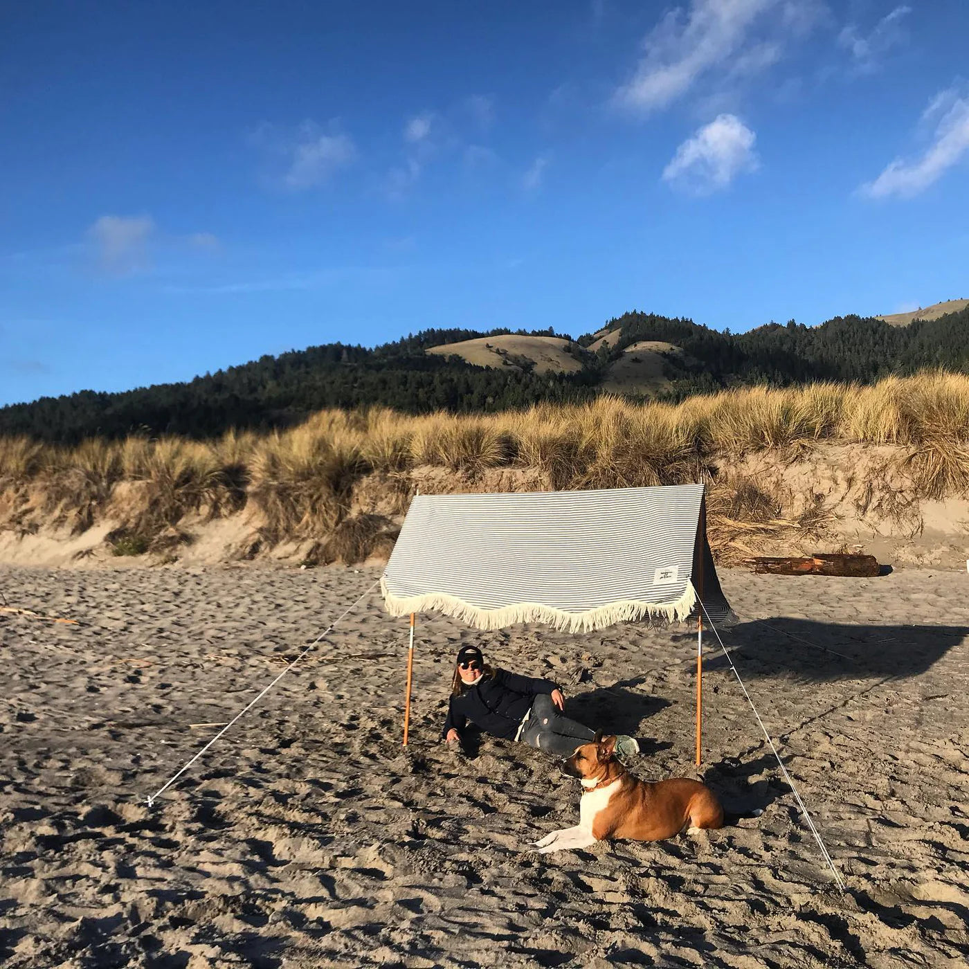 business and pleasure tent Business & Pleasure Laurens Navy Beach Tent – Thecottageboutique