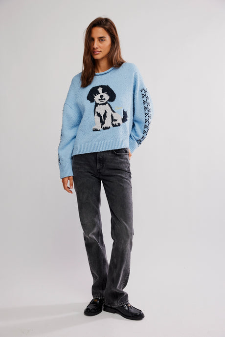 Free People Story Book Sweater/Clear Skies Combo