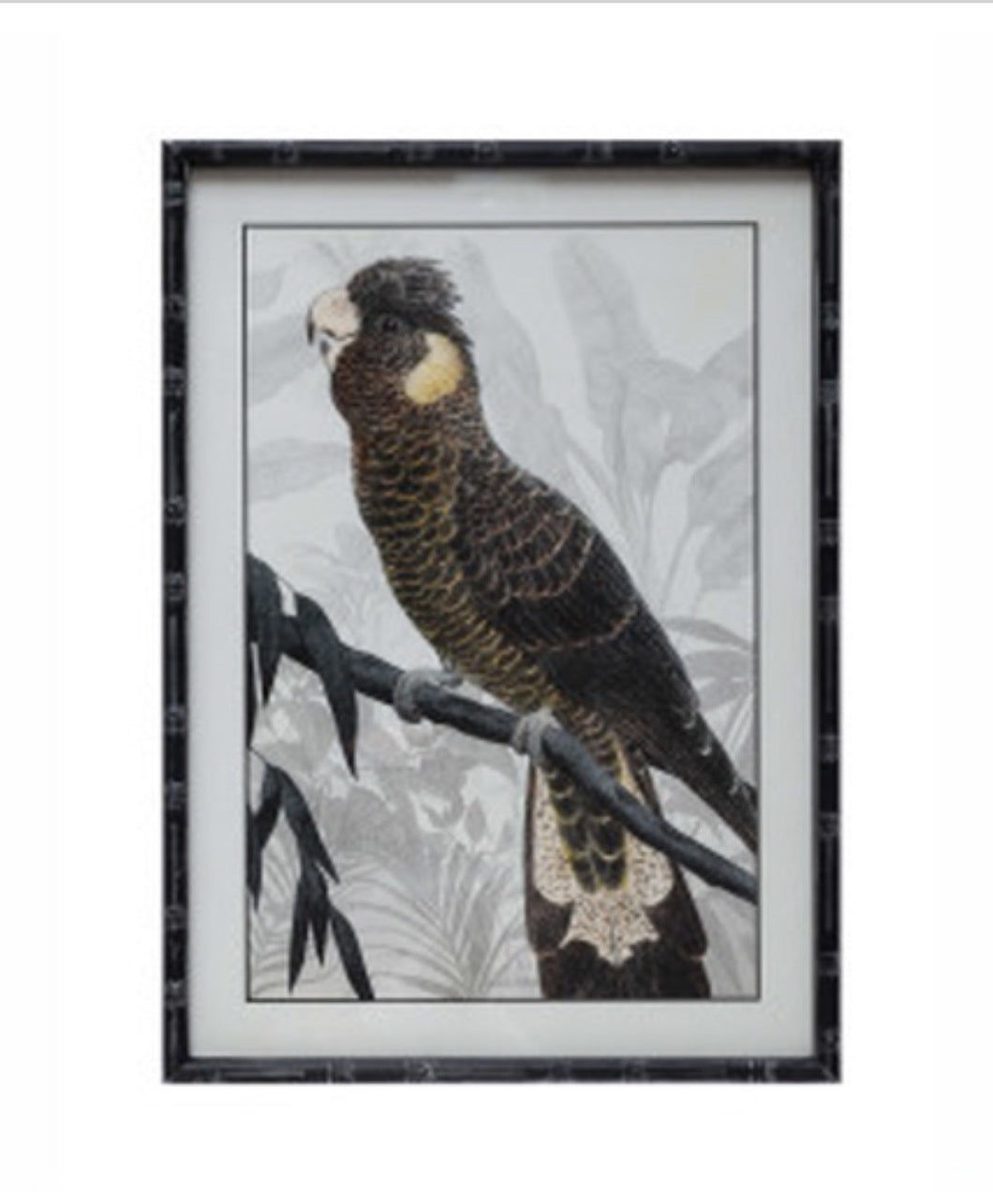 Wood Framed Black Parrot picture