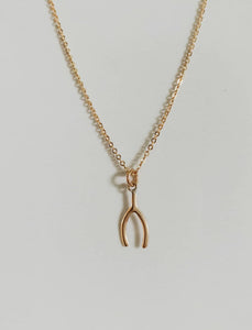 Raquel Rosalie Wishbone Necklace