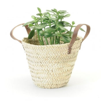 Straw Leather Planters